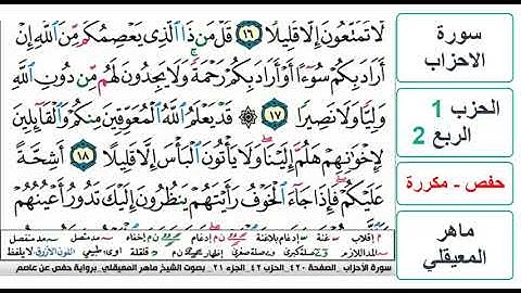 سورة  الاحزاب - الحزب 1 - الربع 2 - حفص - ماهر المعيقلي - مكررة
