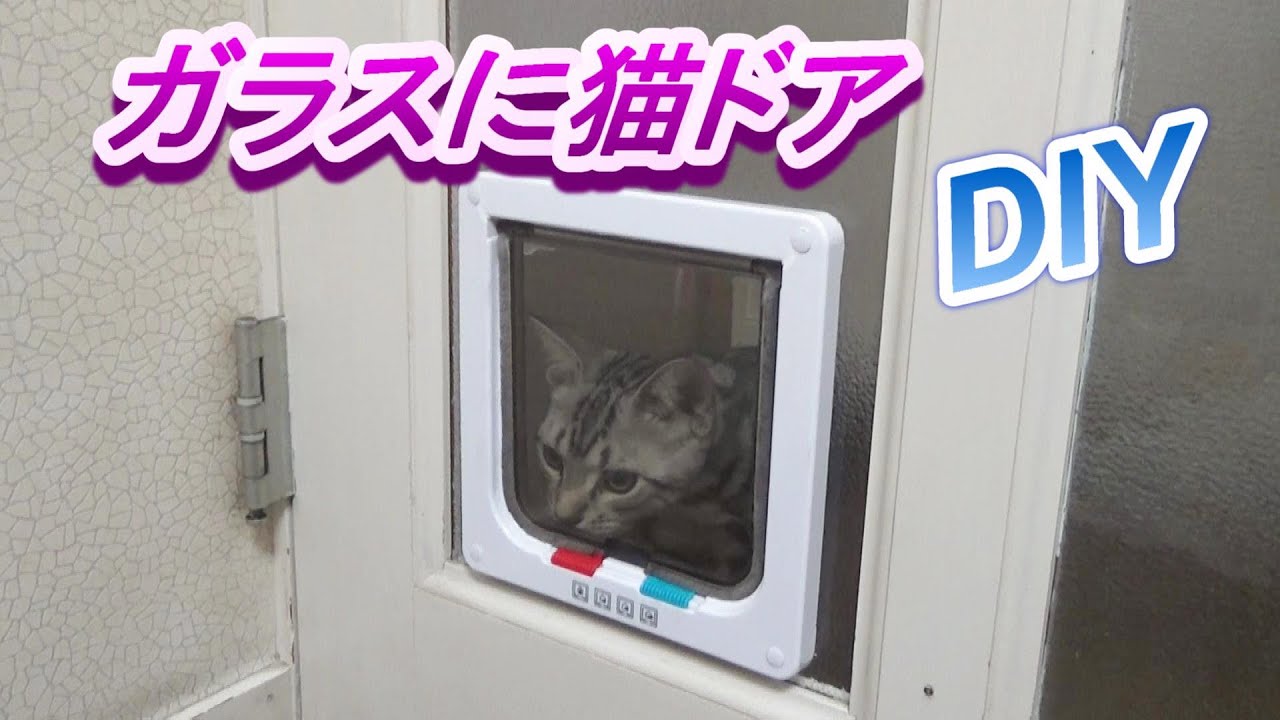 ガラスに猫ドアを取り付け ペットドア キャットドアdiy Youtube