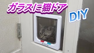 驚きの値段で 【新品未開封】aikona あいこな 犬用 サプリメント60g