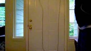 Spinning Chain Physics 1