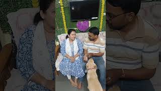watch till end for real twist 😱#shortsfeed #newsfeed #adavallumeekujoharlu #husbandrockwifeshock