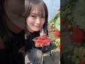 さや姉 いちご狩り🍓 愛犬といちご狩りで春の休日～こり時間🍓 #山本彩 #いちご