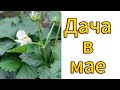 Майский обзор дачи в Германии