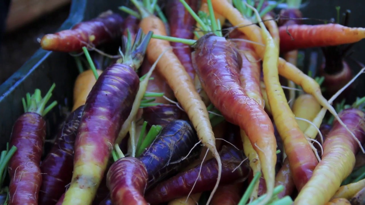 La Pestanaca de Santu Pati