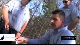 A1 Exterminators How to Eliminate the Termite Colony
