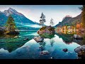 Música Relaxante e Fundo do Mar 🎵 Acalmar a Mente