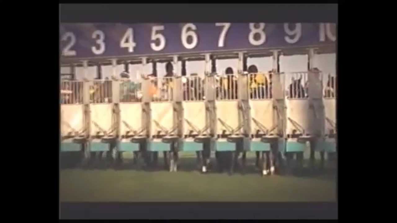 2006 BRC Doomben 10000