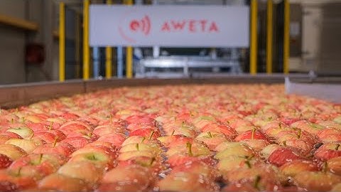 AWETA | Apple pre size line at Coop. Kurmark-Unifrut