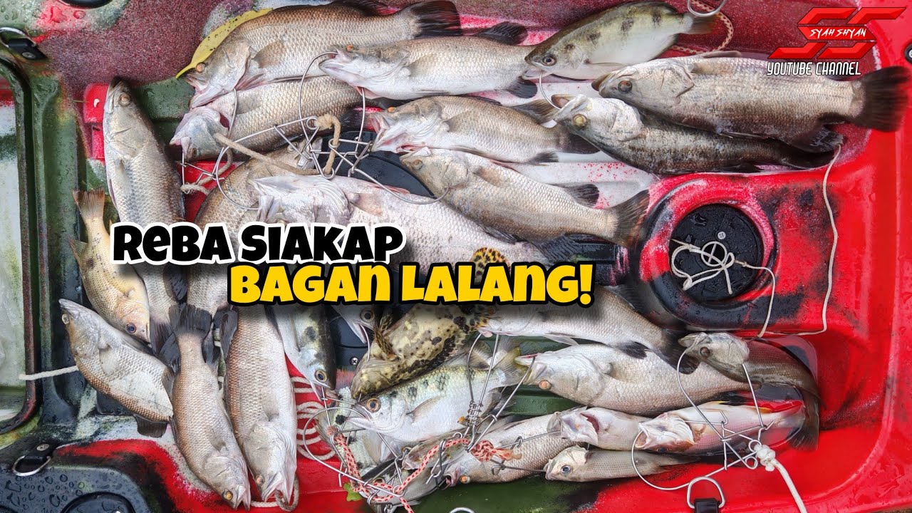 PART 3 - Port Siakap Liar‼️ Muara Bagan Lalang‼️