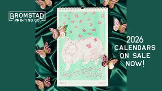 Limited Edition 2026 Cat Calendar - Butterfly days