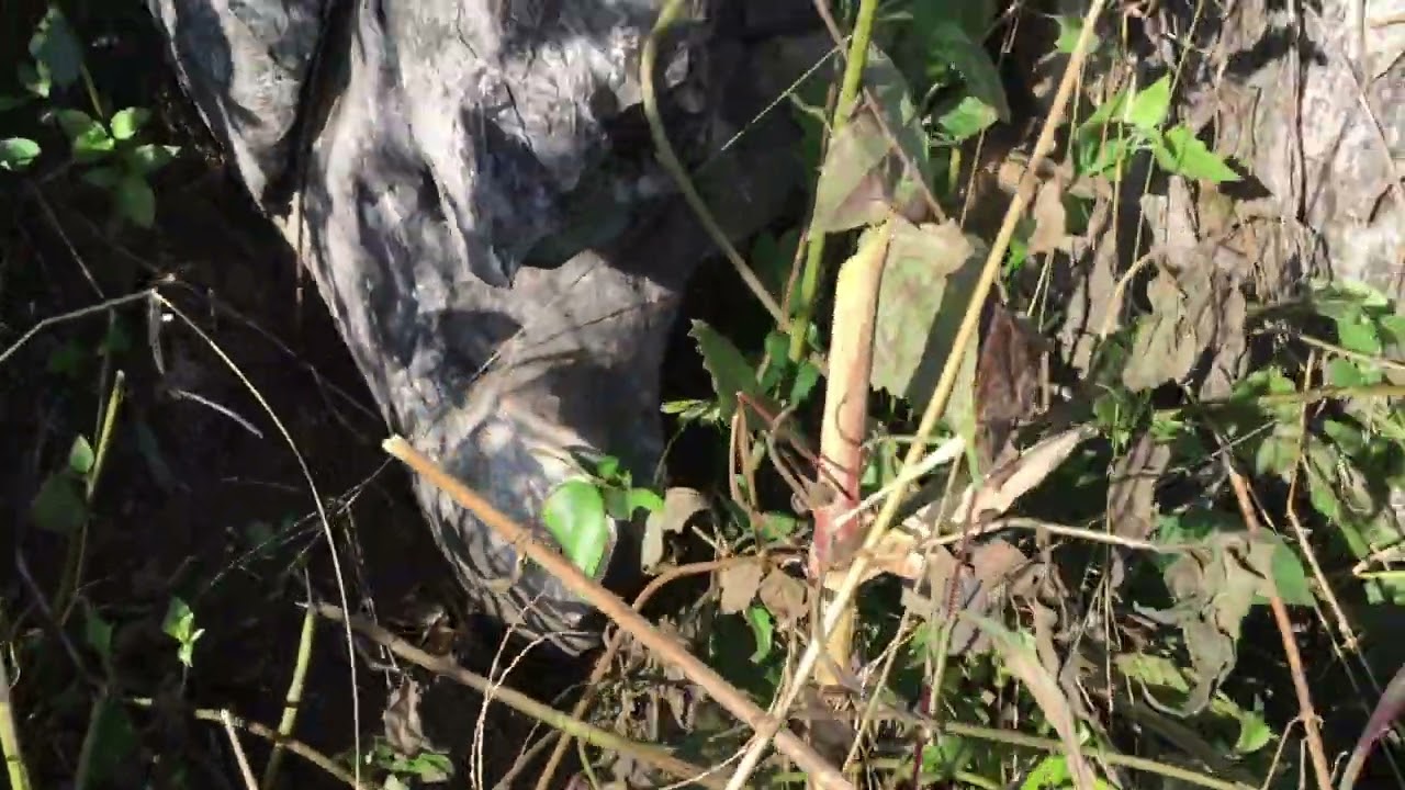 cái kết ngày cuối cùng