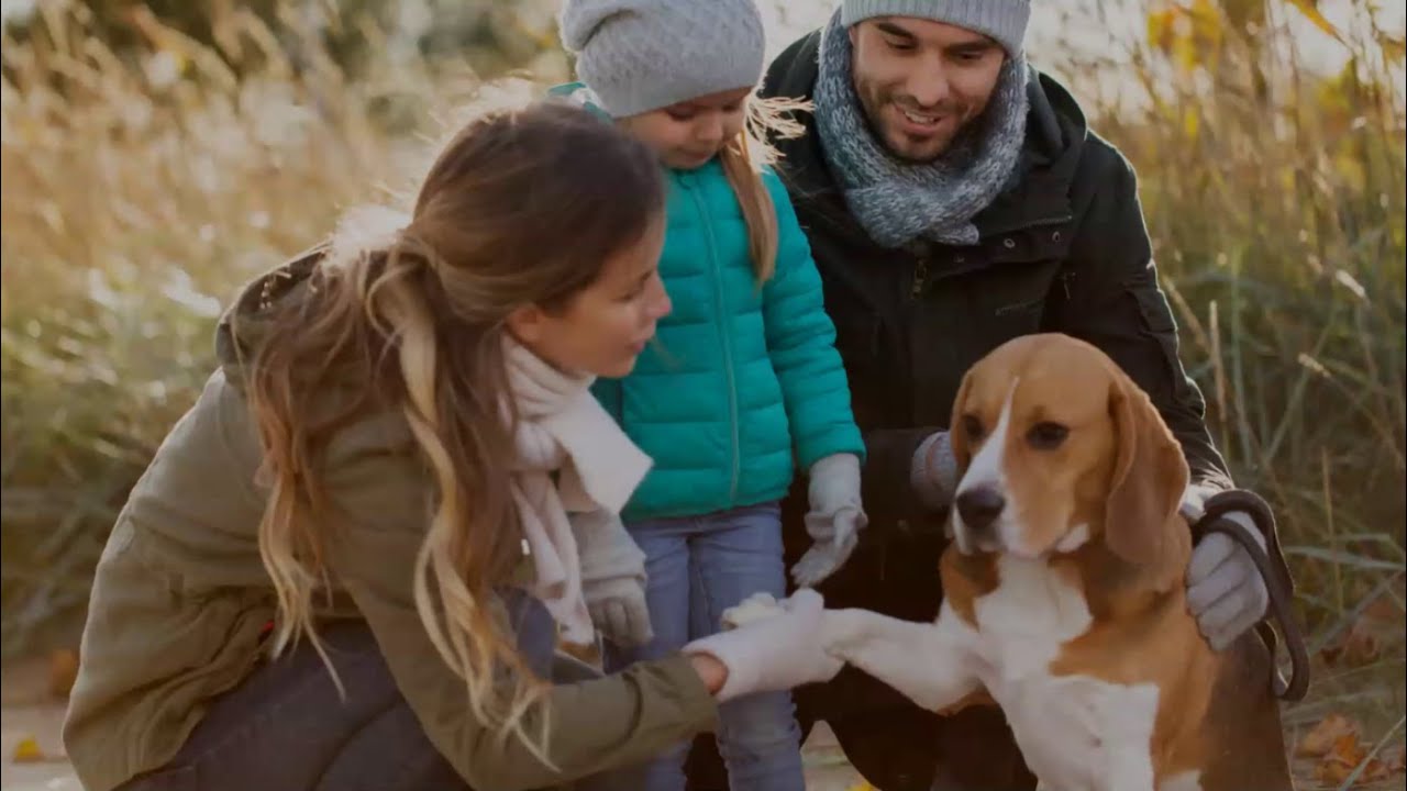 Safeco® Umbrella Coverage you can't afford to be without YouTube