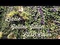 リジー/Galileo Galilei(cover)