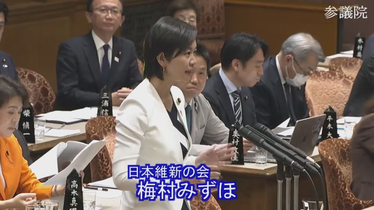 2025.03.26 予算委員会・質疑　梅村みずほ