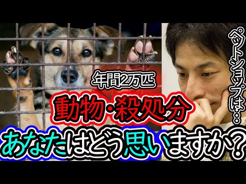 【ひろゆき】猫・犬の殺処分を減らしたい‼動物愛護団体の活動で減少しているが現状年間2万匹以上が殺処分されている【ひろゆき 切り抜き 毎日投稿 】