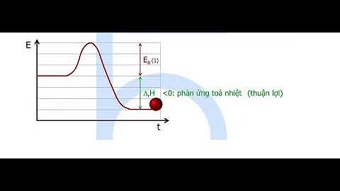 Năng lượng hoạt hóa của phản ứng khoảng bao nhiêu năm 2024