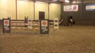 C Havinia Bart Gommeren Sporthorse
