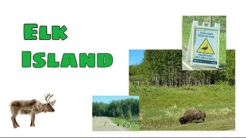 Elk Island National Park I Braz Eustaquio