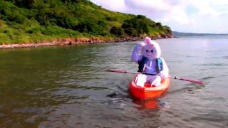 Crunch Gym Commercial:  Best Bunny screenshot 4