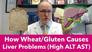 How Wheat, Gluten Cause Liver Problems (High AST & ALT)