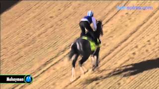 Mohaymen gallops 4.24