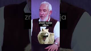 Slaviša K. Miljković O Zevsu