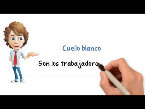 Trabajador De Cuello Azul Vs Trabajador De Cuello Blanco: ¿Cuál Es La Diferencia?