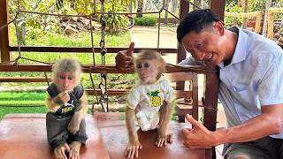 Jobi & Hope Happily Run To Play With Uncle Nam In The Garden ❤️🐒