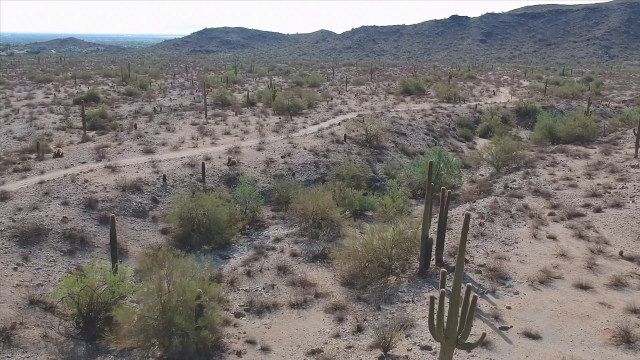 The Desert of Sounds
