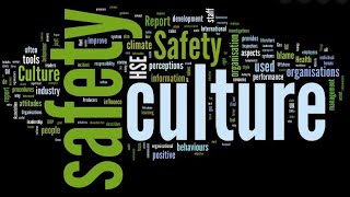 Mango QHSE Software For Employee Participation screenshot 4