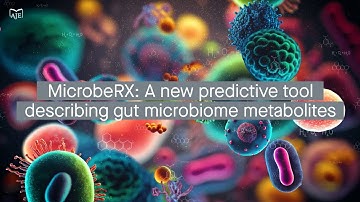MicrobeRX: A tool for enzymatic-reaction-based metabolite prediction in the gut microbiome