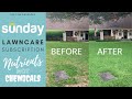 Sunday Lawn Care Subscription - Sunday Lawn Coupon + How-To