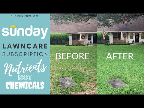 Sunday Lawn Care Review Subscription - Sunday Lawn Coupon plus How-To - 1 Year Later Highly Recommend!