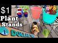 Dollar tree 1 plant stand wire basket container gardening vegetables lettuce  indoor houseplants