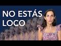¿TE DISOCIAS? Descubre por qué para perderle el MIEDO