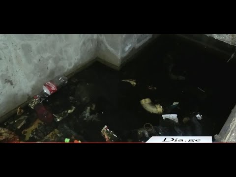 კომბინატის დასახლებაში შინაური ცხოველი იხოცება 27.05.2021