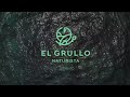 Video de El Grullo