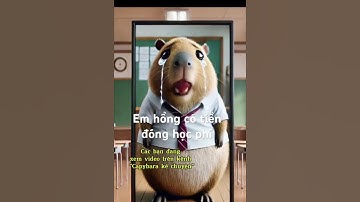 Capybara không có tiền đóng học phí nên khóc