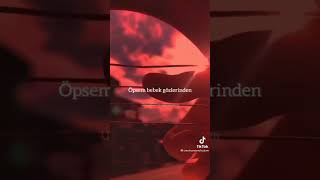 Arnavut Kaldırımı 🎶