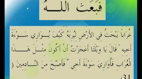 القران الكريم سورة المائدة الأية 31.wmv
