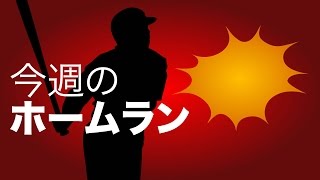 今週のホームラン 【2014/8/26〜31 Week22】