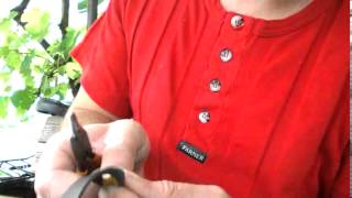 Cum Leg Gumele La Prastie