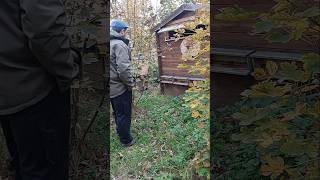 You can't control everything... #imker #beekeeper #wald #bienen #natur #bienenstand #TeamMarietta