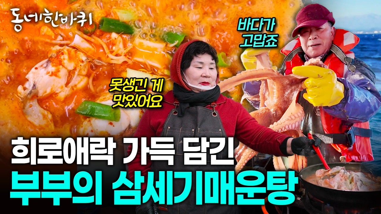 속초 고깃배 남편과 아내의 손맛, 삼세기매운탕으로 이어온 부부 식당 | KBS 260221 방송