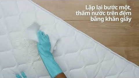 Mách bạn bí kíp tẩy sạch vết nước tiểu trên đệm | Cleanipedia