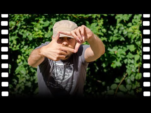 Creating The Director's Vision