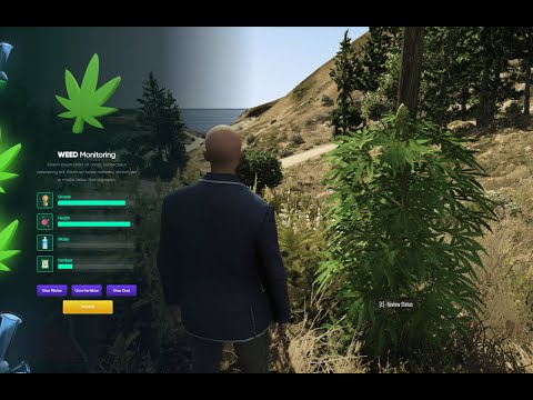Weed Grow Script FiveM resource preview