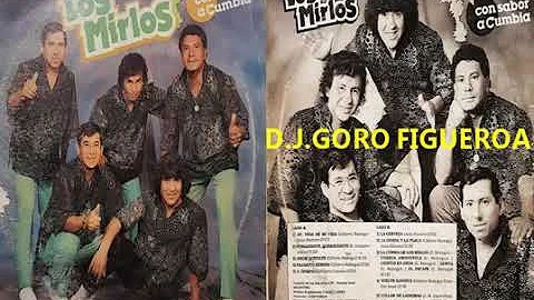 LOS MIRLOS DEL PERU CON SABOR A CUMBIA DISCO COMPL...