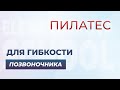 Пилатес для гибкости позвоночника