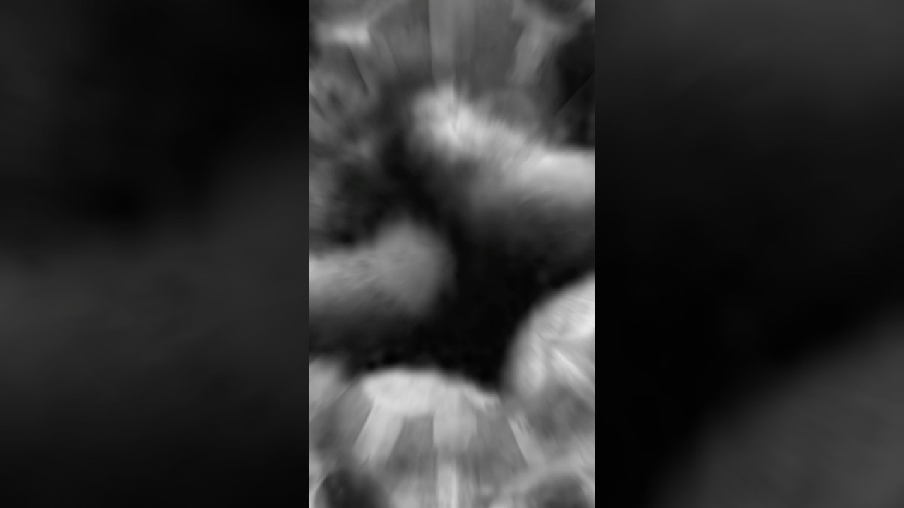 O Lethe - Fever | Available everywhere